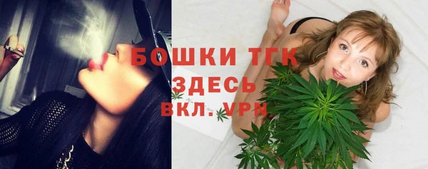 стаф Россошь