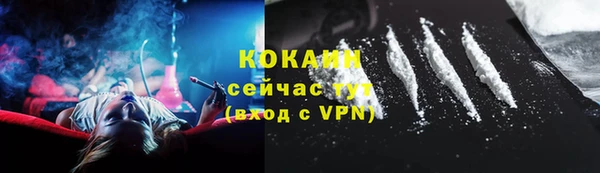 прущий лед Алзамай