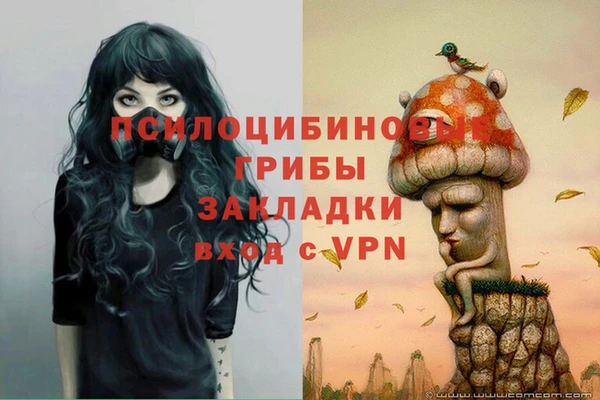 стаф Алексеевка