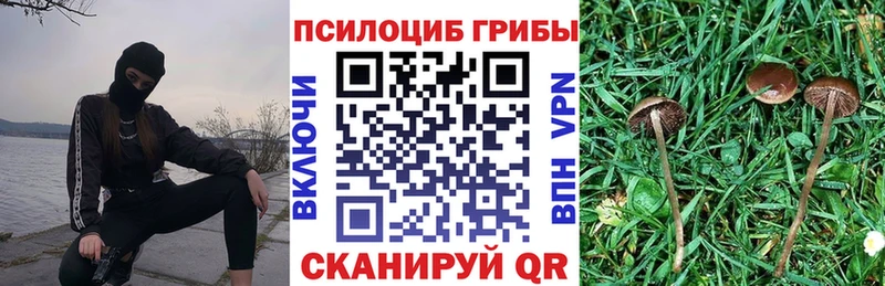 Псилоцибиновые грибы ЛСД Комсомольск
